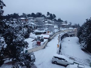 Resorts in Chail