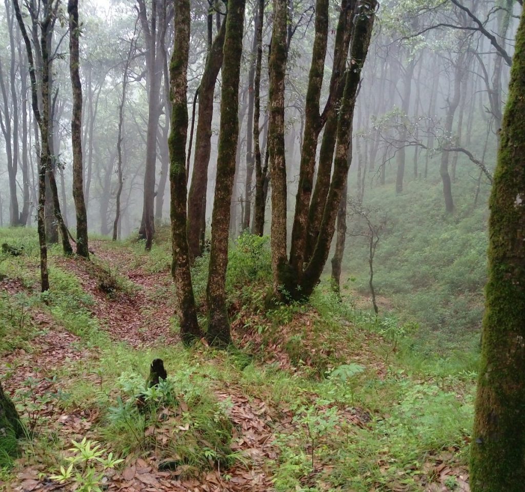 Famous Places in Chail