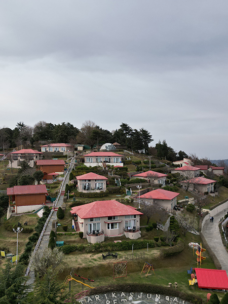 resorts in chail