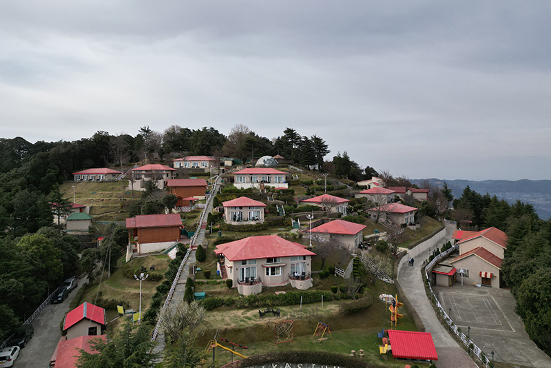 resorts in chail himachal pradesh